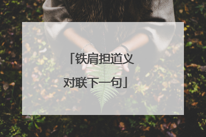 铁肩担道义对联下一句