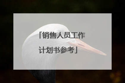 销售人员工作计划书参考