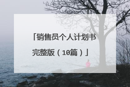 销售员个人计划书完整版（10篇）