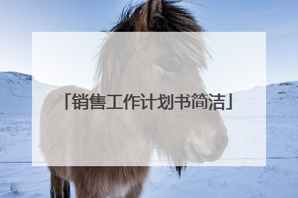 销售工作计划书简洁