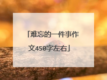 难忘的一件事作文450字左右