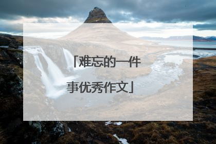 难忘的一件事优秀作文