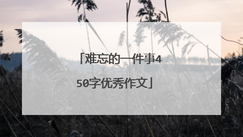 难忘的一件事450字优秀作文