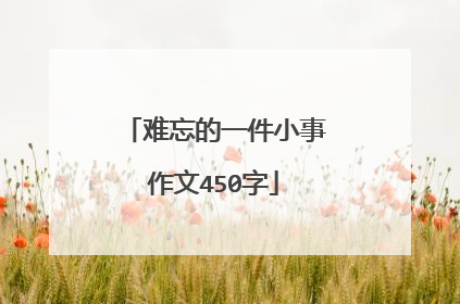 难忘的一件小事作文450字