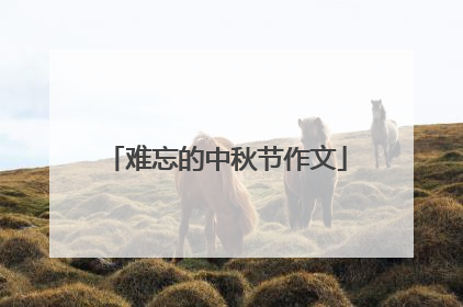 难忘的中秋节作文
