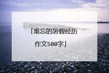 难忘的暑假经历作文500字