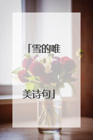 雪的唯美诗句
