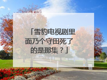 雪豹电视剧里面乃个守田死了的是那集？