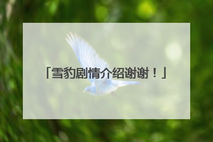 雪豹剧情介绍谢谢！