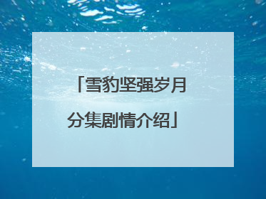 雪豹坚强岁月分集剧情介绍