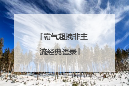 霸气超拽非主流经典语录