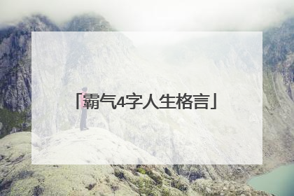 霸气4字人生格言