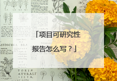 项目可研究性报告怎么写？