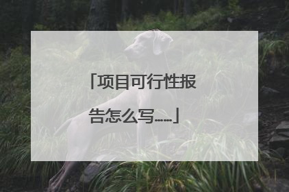 项目可行性报告怎么写……