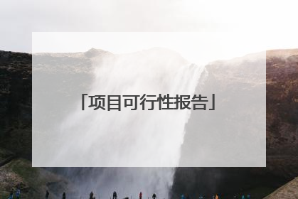 项目可行性报告