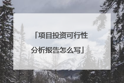 项目投资可行性分析报告怎么写