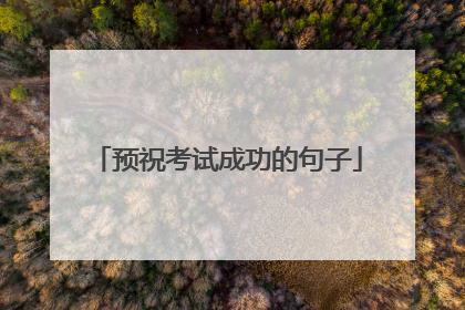 预祝考试成功的句子