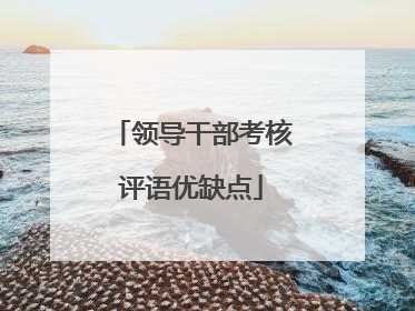 领导干部考核评语优缺点