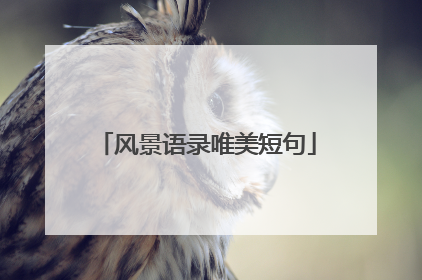 风景语录唯美短句