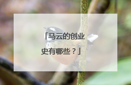 马云的创业史有哪些？