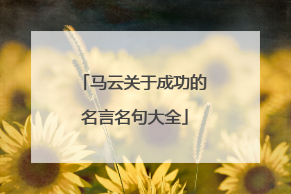 马云关于成功的名言名句大全