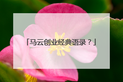 马云创业经典语录？