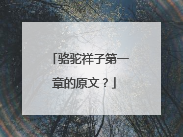 骆驼祥子第一章的原文？
