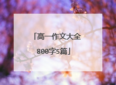 高一作文大全800字5篇