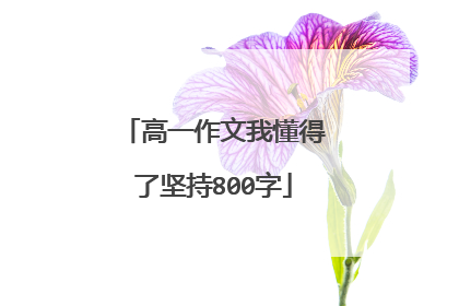 高一作文我懂得了坚持800字