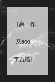 高一作文800字五篇