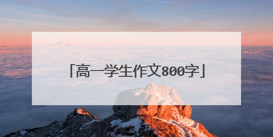 高一学生作文800字