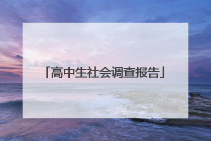 高中生社会调查报告