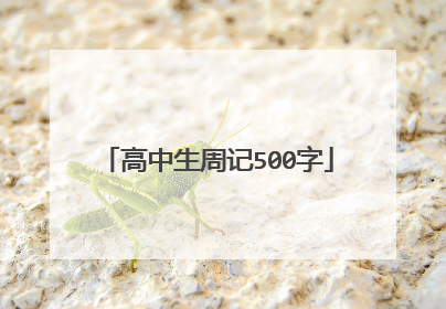 高中生周记500字