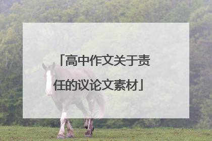 高中作文关于责任的议论文素材
