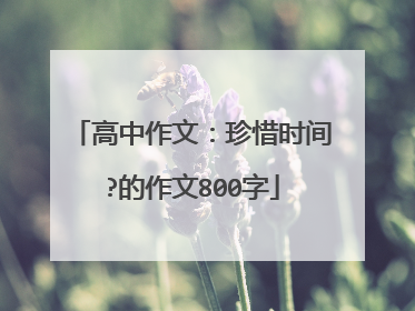 高中作文：珍惜时间?的作文800字