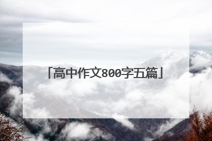 高中作文800字五篇