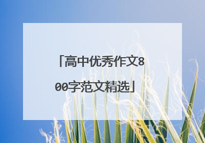 高中优秀作文800字范文精选