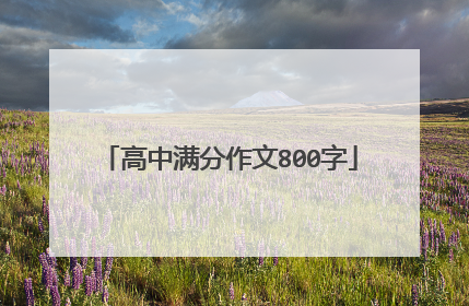 高中满分作文800字