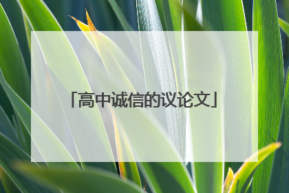 高中诚信的议论文