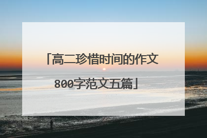 高二珍惜时间的作文800字范文五篇