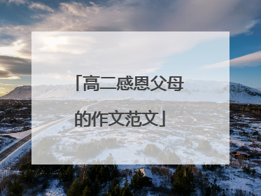 高二感恩父母的作文范文