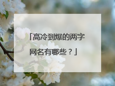 高冷到爆的两字网名有哪些？