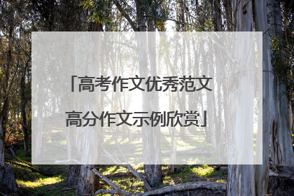 高考作文优秀范文 高分作文示例欣赏