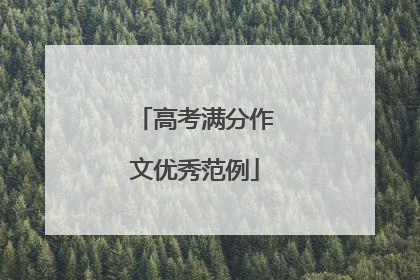 高考满分作文优秀范例