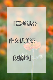 高考满分作文优美语段摘抄