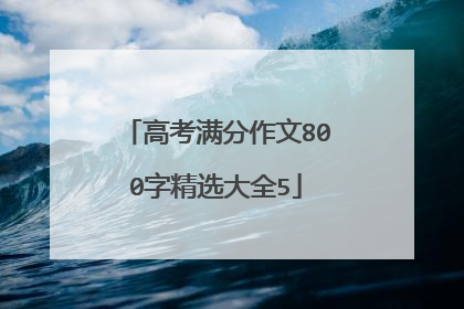 高考满分作文800字精选大全5