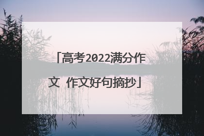 高考2022满分作文 作文好句摘抄