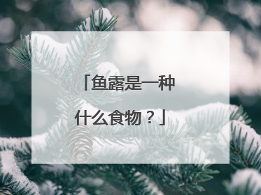 鱼露是一种什么食物？