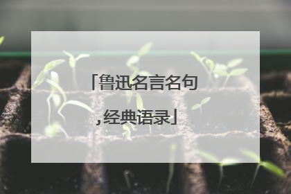 鲁迅名言名句,经典语录