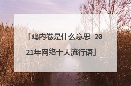鸡内卷是什么意思 2021年网络十大流行语